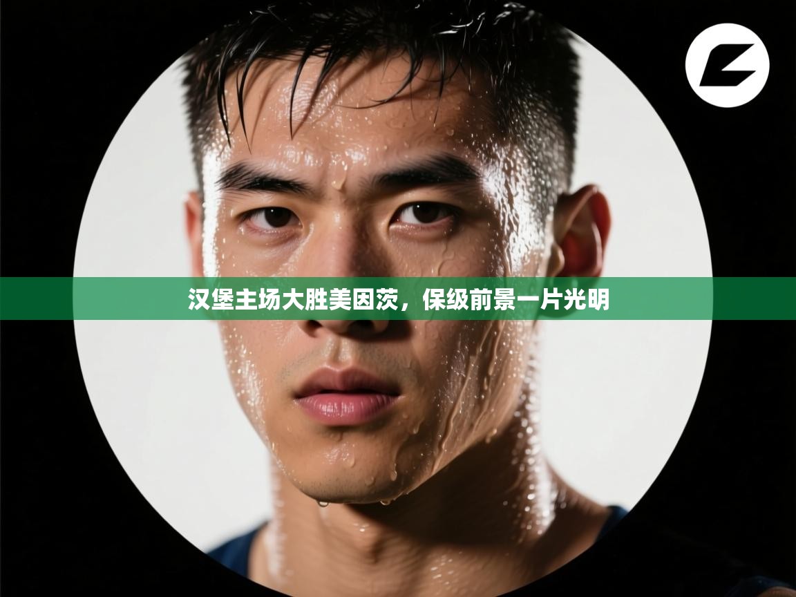 汉堡主场大胜美因茨，保级前景一片光明  第1张