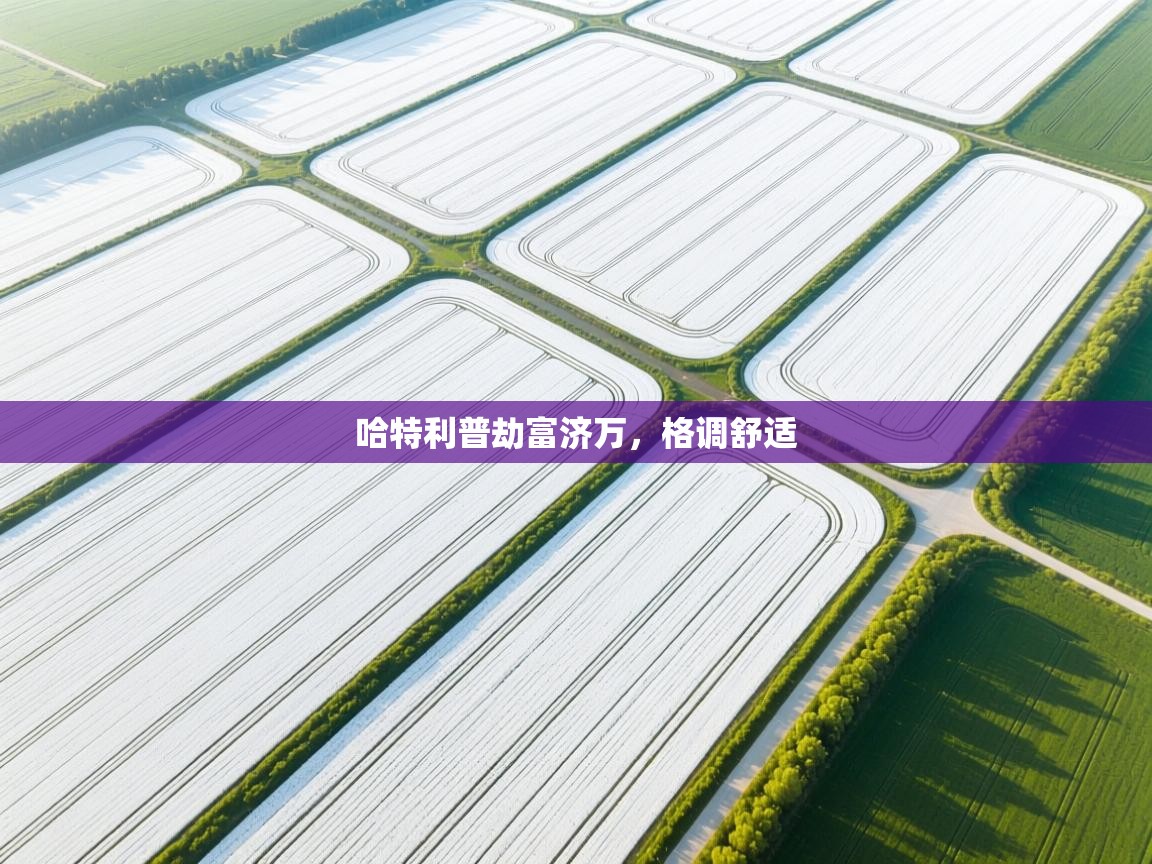 哈特利普劫富济万，格调舒适  第1张