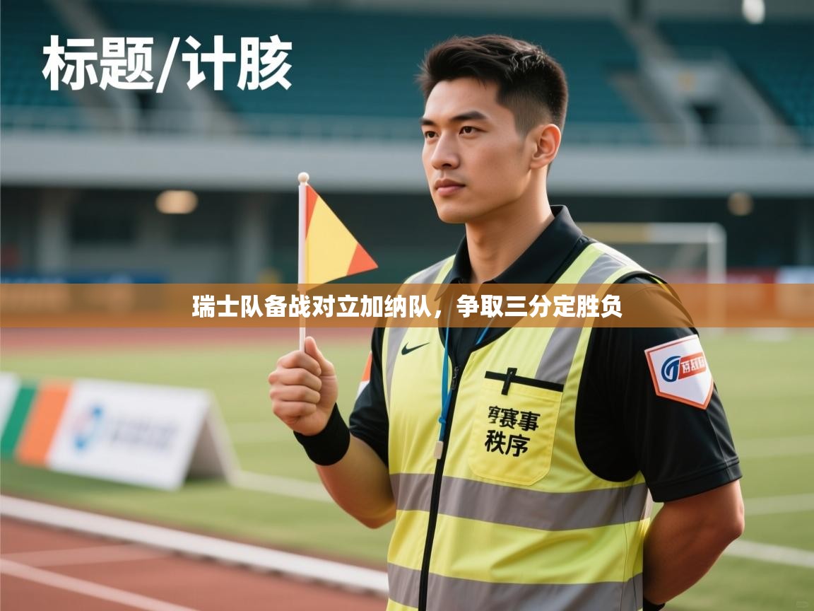 瑞士队备战对立加纳队，争取三分定胜负  第2张