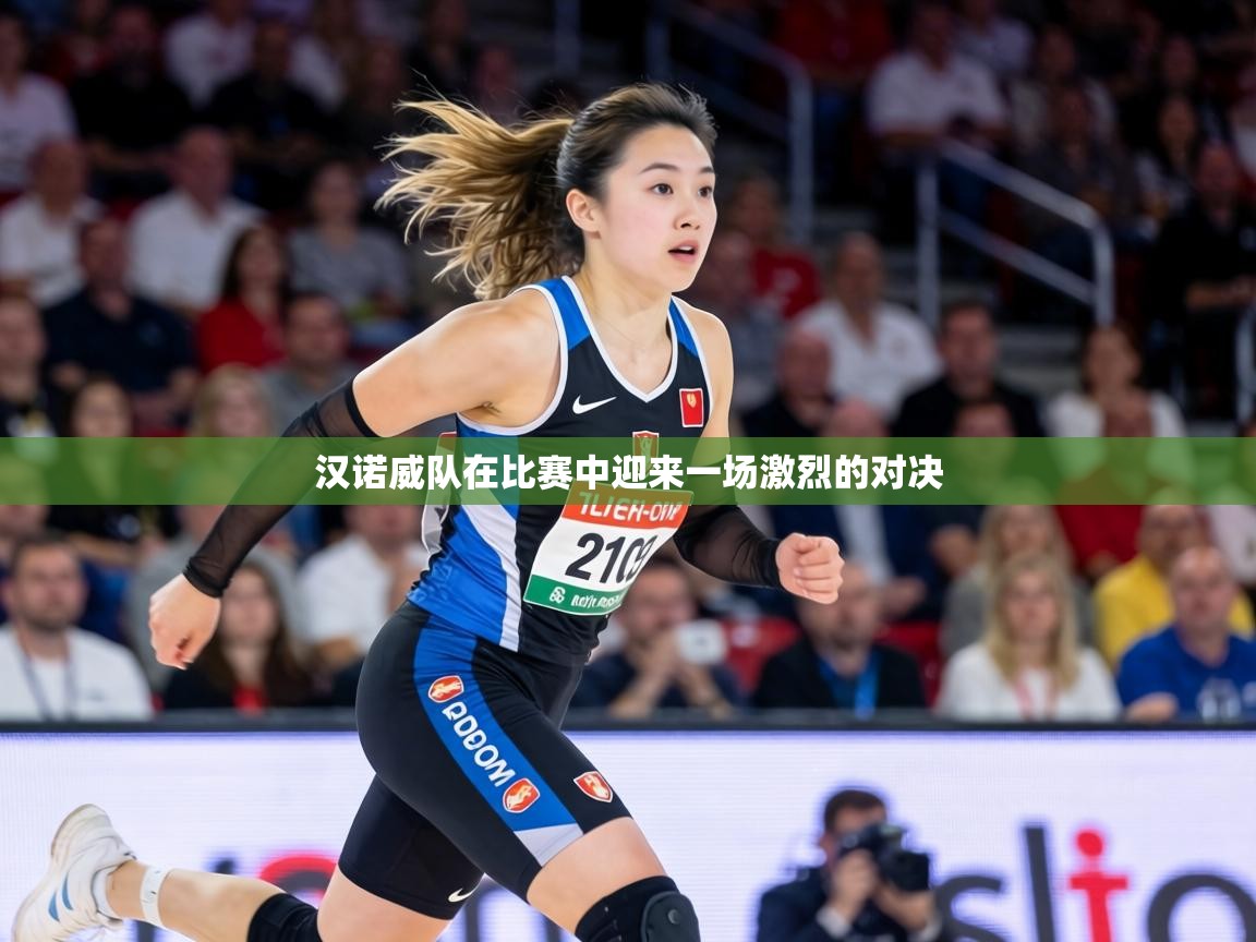 汉诺威队在比赛中迎来一场激烈的对决 第2张