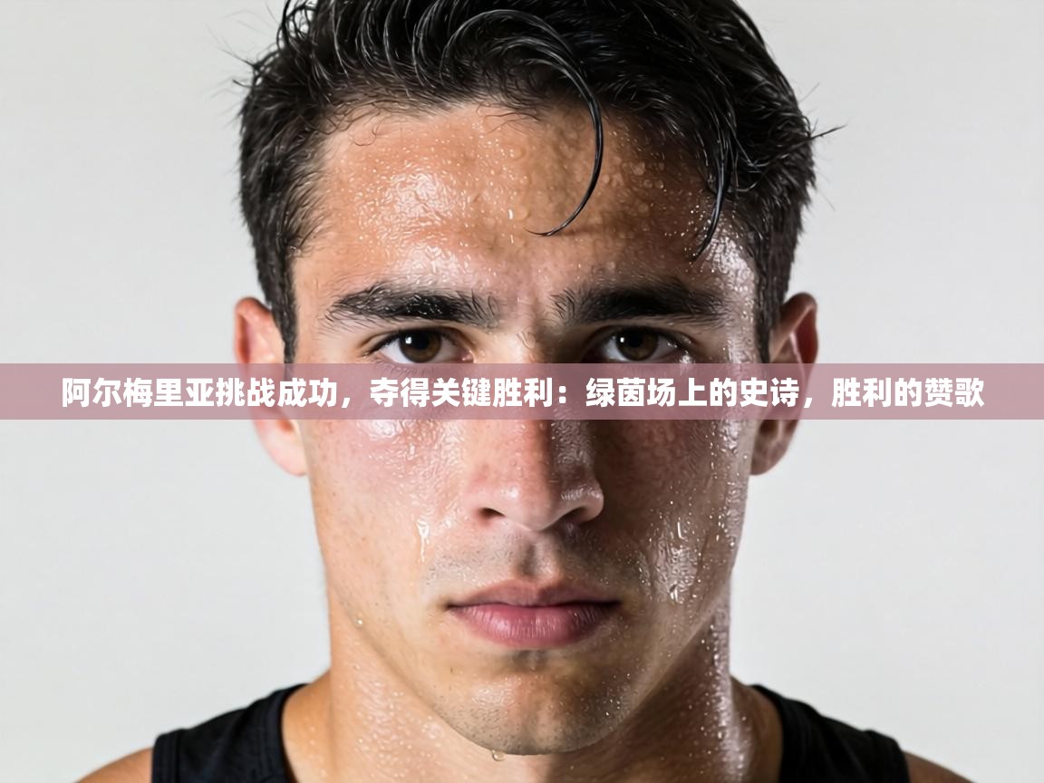 阿尔梅里亚挑战成功，夺得关键胜利：绿茵场上的史诗，胜利的赞歌  第1张