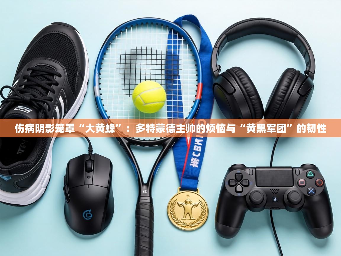 伤病阴影笼罩“大黄蜂”：多特蒙德主帅的烦恼与“黄黑军团”的韧性  第2张